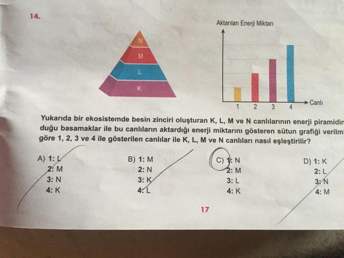 14.
Aktarılan Enerji Miktarı
M
K
Canli
1
2
3 4
Yukarıda bir ekosistemde besin zinciri oluşturan K, L, M ve N canlılarının enerji piramidin
duğu basamaklar ile bu canlıların aktardığı enerji miktarını gösteren sütun grafiği verilmi
göre 1, 2, 3 ve 4 ile gös