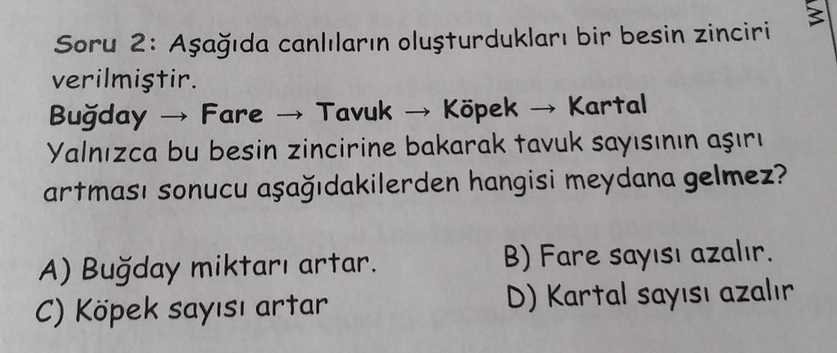 W
-
Soru 2: Aşağıda canlıların oluşturdukları bir besin zinciri
verilmiştir.
Buğday → Fare → Tavuk → Köpek →
→ Kartal
Yalnızca bu besin zincirine bakarak tavuk sayısının aşırı
artması sonucu aşağıdakilerden hangisi meydana gelmez?
A) Buğday miktarı artar.