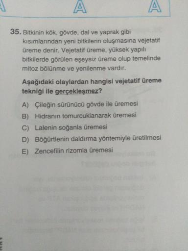 A
A
35. Bitkinin kök, gövde, dal ve yaprak gibi
kısımlarından yeni bitkilerin oluşmasına vejetatif
üreme denir. Vejetatif üreme, yüksek yapılı
bitkilerde görülen eşeysiz üreme olup temelinde
mitoz bölünme ve yenilenme vardır.
Aşağıdaki olaylardan hangisi v