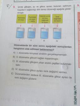 5.
$/
4. İçinde glikojen, su ve glikoz ayracı bulunan optimum
koşulların sağlandığı dört deney düzeneği aşağıda göste-
rilmiştir.
Pankreas
Pankreas
Tükürük SIVISI
ve ince
bağırsak
öz suyu
Ince
bağırsak
öz suyu
öz suyu
C
+ safra
öz suyu
E
E
I
II
TV
Düzeneklerde bir süre sonra aşağıdaki sonuçlardan
hangisinin elde edilmesi beklenemez?
A) I. düzenekte kimyasal sindirim gerçekleşmemiştir.
B) II. düzenekte glikozit bağları koparılmıştır.
C) III. düzenekte glikojeni yıkan enzim çeşitleri bulunmak-
tadır.
D) IV. düzenekte glikoz ayracı renk değişimi vermez.
E) Düzeneklerden sadece Ill. düzenekte glikoz ayracı ile
renk değişimi gözlenir.
BENIM HOCAM