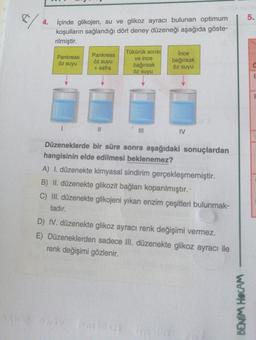 5.
$/
4. İçinde glikojen, su ve glikoz ayracı bulunan optimum
koşulların sağlandığı dört deney düzeneği aşağıda göste-
rilmiştir.
Pankreas
Pankreas
Tükürük SIVISI
ve ince
bağırsak
öz suyu
Ince
bağırsak
öz suyu
öz suyu
C
+ safra
öz suyu
E
E
I
II
TV
Düzeneklerde bir süre sonra aşağıdaki sonuçlardan
hangisinin elde edilmesi beklenemez?
A) I. düzenekte kimyasal sindirim gerçekleşmemiştir.
B) II. düzenekte glikozit bağları koparılmıştır.
C) III. düzenekte glikojeni yıkan enzim çeşitleri bulunmak-
tadır.
D) IV. düzenekte glikoz ayracı renk değişimi vermez.
E) Düzeneklerden sadece Ill. düzenekte glikoz ayracı ile
renk değişimi gözlenir.
BENIM HOCAM
