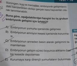 Sürüngen, kuş ve memeliler, embriyonik gelişimlerin-
deki benzerlikten dolayı gerçek kara hayvanları ola-
rak tanımlanabilir.
Buna göre, aşağıdakilerden hangisi bu üç grubun
embriyonik gelişimi için ortaktır?
A) Embriyonun yumurta içerisinde gelişmesi
B) Embriyonun amniyon kesesi içerisinde korunma-
Öss
As
SI
va
ği
A
Embriyonun anneden besin alarak gelişimini ta-
mamlaması
D) Embriyonun gelişim süreci boyunca atıklarını özet
bir kesede depolaması
E) Kurumaya karşı dirençli yumurtaların bulunması
