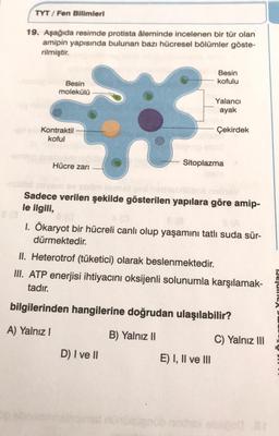 TYT / Fen Bilimleri
19. Aşağıda resimde protista âleminde incelenen bir tür olan
amipin yapısında bulunan bazı hücresel bölümler göste-
rilmiştir.
Besin
kofulu
Besin
molekülü
Yalanci
ayak
Kontraktil
koful
Çekirdek
Hücre zari
Sitoplazma
Sadece verilen şekilde gösterilen yapılara göre amip-
le ilgili,
1. Ökaryot bir hücreli canlı olup yaşamını tatlı suda sür-
dürmektedir.
II. Heterotrof (tüketici) olarak beslenmektedir.
III. ATP enerjisi ihtiyacını oksijenli solunumla karşılamak-
tadır.
Yanunlari
bilgilerinden hangilerine doğrudan ulaşılabilir?
A) Yalnız!
B) Yalnız II
C) Yalnız III
:
D) I ve II
E) I, II ve III
