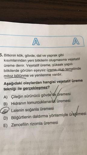 A
A
5. Bitkinin kök, gövde, dal ve yaprak gibi
kısımlarından yeni bitkilerin oluşmasına vejetatif
üreme denir. Vejetatif üreme, yüksek yapılı
bitkilerde görülen eşeysiz üreme olup temelinde
mitoz bölünme ve yenilenme vardır.
Aşağıdaki olaylardan hangisi ve