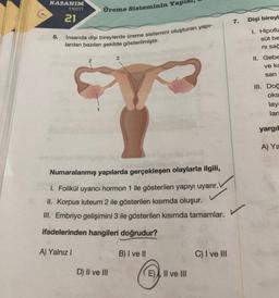 KAZANIM
TESTI
Üreme Sisteminin Yapısı,
21
7.
Dişi bireyl
5.
Insanda dişi bireylerde üreme sistemini oluşturan yapi-
lardan bazıları şekilde gösterilmiştir.
I. Hipofiz
süt be
ni sac
3
2
II. Gebe
ve kc
san
III. Doğ
oks
lay
lar:
1
yargil
A) Ya
Numaralanmış yapılarda gerçekleşen olaylarla ilgili,
1. Folikül uyarıcı hormon 1 ile gösterilen yapıyı uyarır.
II. Korpus luteum 2 ile gösterilen kısımda oluşur.
III. Embriyo gelişimini 3 ile gösterilen kısımda tamamlar.
ifadelerinden hangileri doğrudur?
A) Yalnız
B) I ve II
C) I ve III
D) II ve III
E), II ve III
