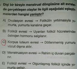 . Dişi bir bireyin menstrual döngüsüne ait evreler.
de gerçekleşen olaylar ile ilgili aşağıdaki eşleştir-
melerden hangisi yanlıştır?
A) Ovulasyon evresi → Folikülin yırtılmasıyla yu-
murta, yumurta kanalına geçer.
B) Folikül evresi → Uyarılan folikül hücrelerinden
östrojen hormonu salgılanır.
C) Korpus luteum evresi Döllenmemiş yumurta
vücut dışına atılır.
->
D) Menstruasyon evresi
nir.
Rahim iç duvarı parçala-
E) Folikül evresi → Olgunlaşmış folikül içinde yu-
murta gelişir.
