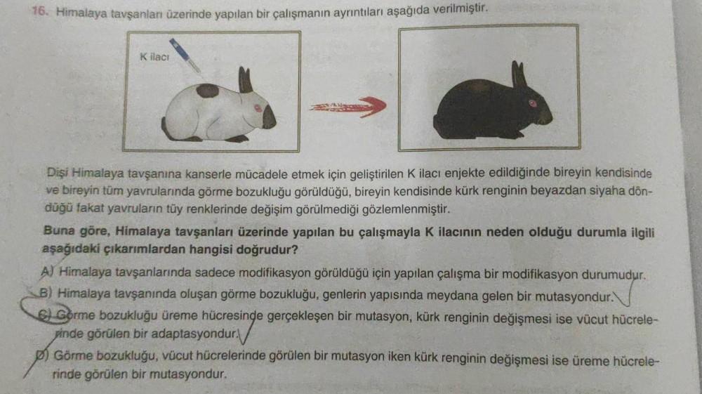 76. Himalaya tavşanlar üzerinde yapılan bir çalışmanın ayrıntıları aşağıda verilmiştir.
Kilaci
Dişi Himalaya tavşanına kanserle mücadele etmek için geliştirilen k ilaci enjekte edildiğinde bireyin kendisinde
ve bireyin tüm yavrularında görme bozukluğu görü