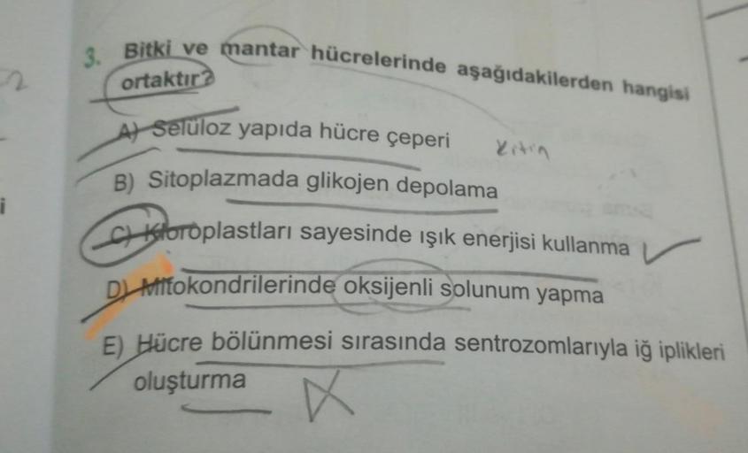 3. Bitki ve mantar hücrelerinde aşağıdakilerden hangisi
2
ortaktır
litin
i
A seluloz yapıda hücre çeperi
B) Sitoplazmada glikojen depolama
C kloroplastları sayesinde işık enerjisi kullanma
D Affokondrilerinde oksijenli solunum yapma
E) Hücre bölünmesi sıra