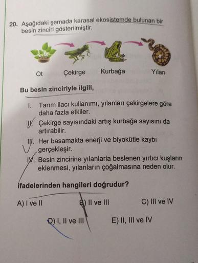 20. Aşağıdaki şemada karasal ekosistemde bulunan bir
besin zinciri gösterilmiştir.
Ot
Çekirge
Kurbağa
Yılan
Bu besin zinciriyle ilgili,
1. Tarım ilacı kullanımı, yılanları çekirgelere göre
daha fazla etkiler.
UV. Çekirge sayısındaki artış kurbağa sayısını 