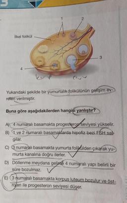 ilkel folikül
3
4
ker
Yukarıdaki şekilde bir yumurtalik folikülünün gelişim ev-
releri verilmiştir.
Buna göre aşağıdakilerden hangisi yanlıştır?
A) 4 numaralı basamakta progesteron seviyesi yükselir.
B) 1 ve 2 numaralı basamaklarda hipofiz bezi FSH sal-
gilar.
3 numaralı basamakta yumurta folikülden çıkarak yu-
murta kanalına doğru ilerler.
D) Döllenme meydana gelirse 4 numaralı yapi belirli bir
süre bozulmaz.
E) 3 numaralı basamakta korpus luteum bozulur ve öst-
rojen ile progesteron seviyesi düşer.