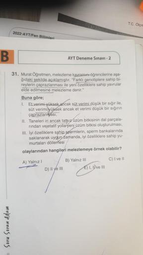 T.C. Olcn
2022-AYT/Fen Bilimleri
B
AYT Deneme Sınavı - 2
31. Murat Öğretmen, melezleme kavramını öğrencilerine aşa-
ğıdaki şekilde açıklamıştır. "Farklı genotiplere sahip bi-
reylerin çaprazlanması ile yeni özelliklere sahip yavrular
elde edilmesine melezl