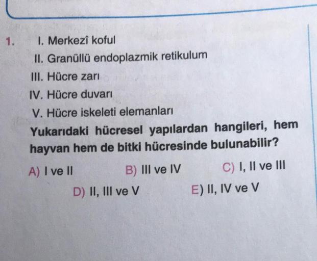 1. 1. Merkezi koful II. Granüllü endoplazmik retiku… Biyoloji 1. 1. Merkezi koful II. Granüllü endoplazmik retiku… Biyoloji