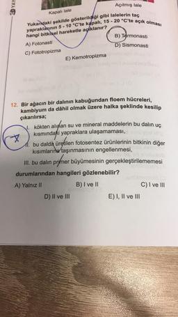 3. YAY
Açılmış lale
Kapalı lale
B) Termonasti
Yukarldaki şekilde gösterildiği gibi lalelerin taç
yapraklarının 5-10 °C'te kapalı, 15 - 20 °C'te açık olması
hangi bitkisel hareketle açiklanır?
A) Fotonasti
C) Fototropizma
E) Kemotropizma
D) Sismonasti
X
12. Bir ağacın bir dalının kabuğundan floem hücreleri,
kambiyum da dâhil olmak üzere halka şeklinde kesilip
çıkarılırsa;
1. kökten alınan su ve mineral maddelerin bu dalin uç
kısmındaki yapraklara ulaşamaması,
11. bu dalda üretilen fotosentez ürünlerinin bitkinin diğer
kısımlarına taşınmasının engellenmesi,
III. bu dalin primer büyümesinin gerçekleştirilememesi
durumlarından hangileri gözlenebilir?
SA
A) Yalnız II
B) I ve II
C) I ve III
D) II ve III
E) I, II ve III
