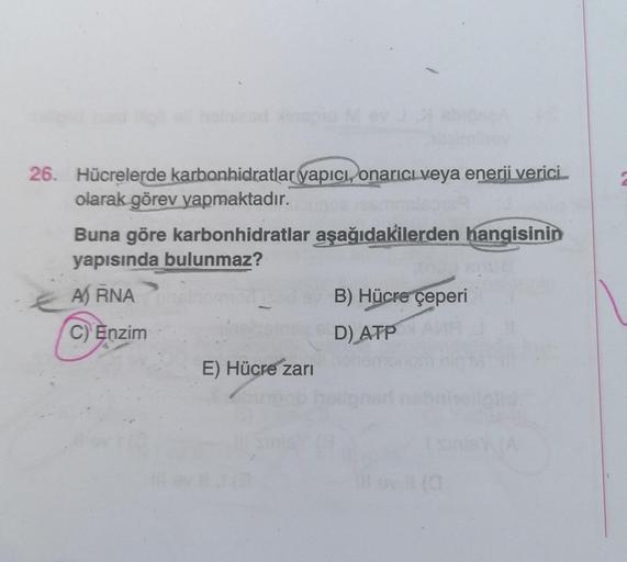 26. Hücrelerde karbonhidratlar yapıcı, onarıcı veya enerji verici.
olarak görev yapmaktadır.
Buna göre karbonhidratlar aşağıdakilerden hangisinin
yapısında bulunmaz?
A) RNA
B) Hücre çeperi
C) Enzim
D)
ATP
E) Hücre zari