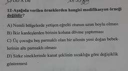 12-Aşağıda verilen örneklerden hangisi modifikasyon örneği
değildir?
A) Nemli bölgelerde yetişen eğrelti otunun uzun boylu olması
B) İkiz kardeşlerden birinin koluna dövme yaptırması
C) Üç çocuğu beş parmaklı olan bir ailenin yeni doğan bebek-
lerinin altı parmaklı olması
D) Sirke sineklerinde kanat şeklinin sıcaklığa göre değişiklik
göstermesi
