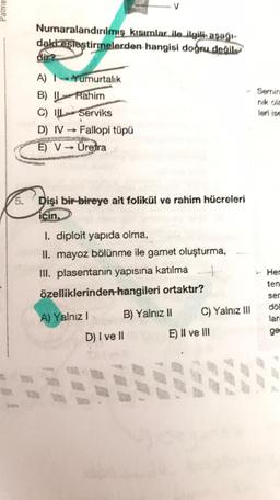 Numaralandırılmış kısımlar ile ilgili asagi-
dakkesleştirmelerden hangisi doğru deuil
A) 1-umurtalık
B) ! Rahim
C) IU Serviks
D) IV - Fallopi tüpü
E) VÜretra
Dişi bir bireye ait folikül ve rahim hücreleri
icin,
1. diploit yapıda olma,
II. mayoz bölünme ile gamet oluşturma,
Ill. plasentanın yapısına katılma
özelliklerinden hangileri ortaktır?
Her
ten
ser
A) Yalnız
B) Yalnız 11
C) Yalnız II
lar
ge
D) I ve II
E) II ve III