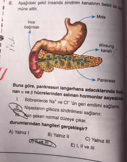 8. Aşağıdaki şekil insanda sindirim kanalının belirli bir bo
Mide
müne aittir.
İnce
bağırsak
i
TUL
Wirsung
kanali
Pankreas
1.
Buna göre, pankreasın langerhans adacıklarında bulu
nan a ve B hücrelerinden salinan hormonlar sayesinde
Böbreklerde Nat ve Cr'ün geri emilimi sağlanır.
IN Nişastanın glikoza sindirilmesi sağlanır.
1. Kan şekeri normal düzeye çıkar.
durumlarından hangileri gerçekleşir?
B) Yalnız II C) Yalnız III
Dr Il ve III
E) I, II ve III
A) Yalnız
