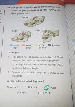 cer
zy-
20. Bir hayvanın diş çeşitleri yapısal olarak evrimsel adap-
tasyonu ile şekil alır. Aşağıda üç farklı canlının çene
yapısı gösterilmiştir.
le
n-
Karnivor
la
a
u
Herbivor
Omnivor
Azı dişleri
Kesici
dişler
Köpek
dişleri
Küçük
azı dişleri
Buna göre,
1. Köpekgiller ve kedigillerde avı öldürmek ve eti ko-
parmak için iri kesici ve köpek dişler gelişmiştir.
II. At, geyik gibi canlılarda sert bitkileri öğütmeye yara-
yan kesici dişler evrilmiştir.
III. Omnivorların diş yapısı karışık beslenmeye uygun
gelişmiştir.
yargılarından hangileri doğrudur?
A) Yalnız!
B) I ve II
C) I ve III
D) II ve III
E) I, II ve III
