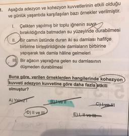 1. Aşağıda adezyon ve kohezyon kuvvetlerinin etkili olduğu
ve günlük yaşantıda karşılaşılan bazı örnekler verilmiştir.
1. Çelikten yapılmış bir toplu iğnenin suya
bırakıldığında batmadan su yüzeyinde durabilmesi
II. Bir camın üstünde duran iki su damlası hafifçe
birbirine birleştirildiğinde damlaların birbirine
yapışarak tek damla hâline gelmeleri
III) Bir ağacın yaprağına gelen su damlasının
düşmeden durabilmesi
Buna göre, verilen örneklerden hangilerinde kohezyon
kuvveti adezyon kuvvetine göre daha fazla etkili
olmuştur?
A) Yalniz
BIve 11
CHIVOHI
D) II ve II
E), Hve it