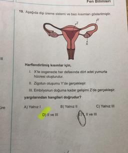 Fen Bilimleri
19. Aşağıda dişi üreme sistemi ve bazı kısımları gösterilmiştir.
Harflendirilmiş kısımlar için,
I. X'te oogenezle her defasında dört adet yumurta
hücresi oluşturulur.
II. Zigotun oluşumu Y'de gerçekleşir.
III. Embriyonun doğuma kadar gelişimi Z'de gerçekleşir.
yargılarından hangileri doğrudur?
üre
A) Yalnız!
B) Yalnız II
C) Yalnız III
D) II ve III
E) II ve III
0