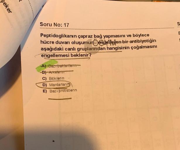 seker Soru No 17 S E Peptidoglikanın çapraz bağ ya… Biyoloji seker Soru No 17 S E Peptidoglikanın çapraz bağ ya… Biyoloji