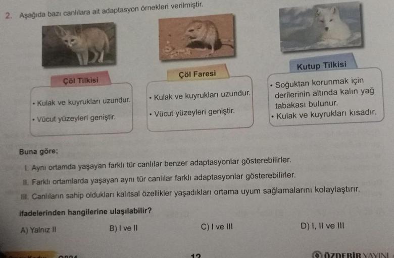 2. Aşağıda bazı canlılara ait adaptasyon örnekleri verilmiştir.
Çöl Faresi
Çöl Tilkisi
• Kulak ve kuyrukları uzundur.
Kutup Tilkisi
Soğuktan korunmak için
derilerinin altında kalın yağ
tabakası bulunur.
• Kulak ve kuyrukları kısadır.
• Kulak ve kuyrukları