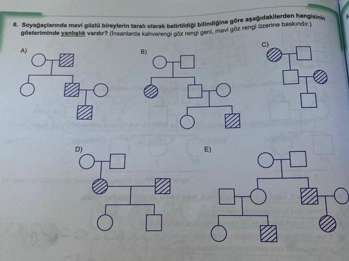 8-
6. Soyağaçlarında mavi gözlü bireylerin taralı olarak belirtildiği bilindiğine göre aşağıdakilerden hangisinin
gösteriminde yanlışlık vardır? (Insanlarda kahverengi göz rengi geni, mavi göz rengi üzerine baskındır.)
A)
B)
0 0
Go
D)
E)
a
od
CO
