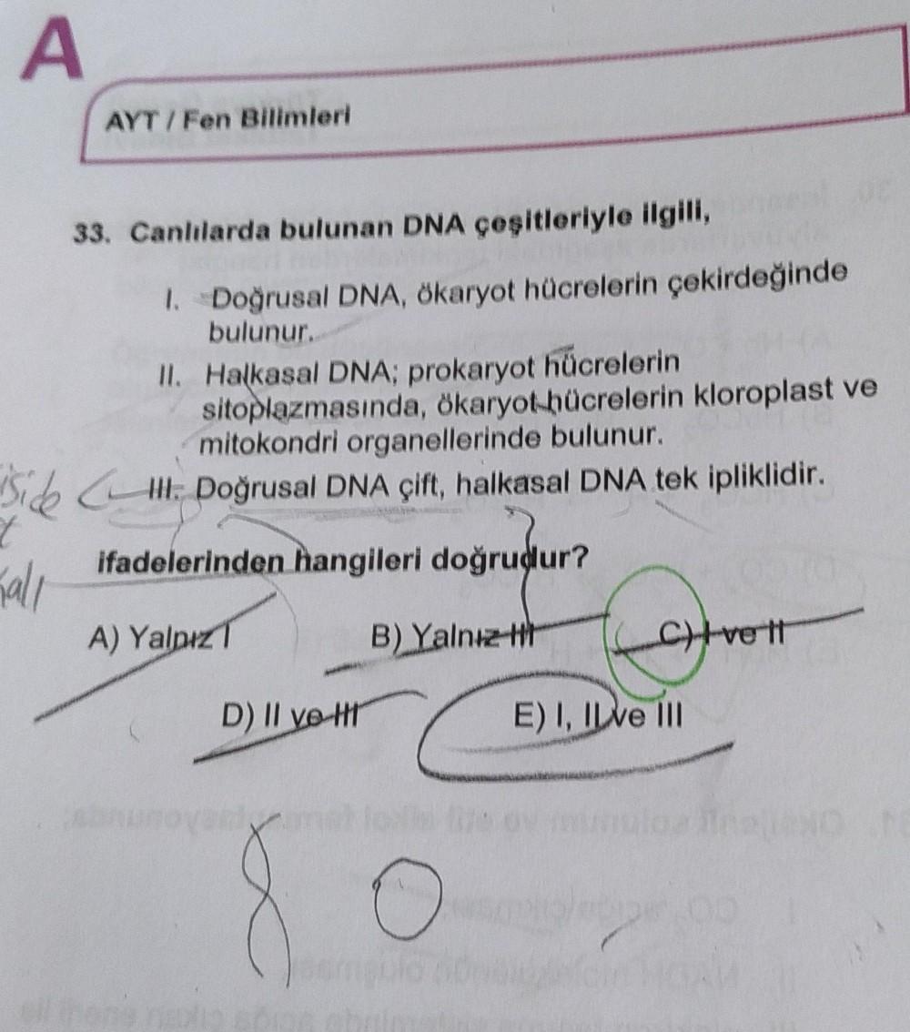 A
AYT/Fen Bilimleri
33. Canlılarda bulunan DNA çeşitleriyle ilgili,
1. Doğrusal DNA, Okaryot hücrelerin çekirdeğinde
bulunur.
II. Halkasal DNA; prokaryot hücrelerin
sitoplazmasında, ökaryot hücrelerin kloroplast ve
mitokondri organellerinde bulunur.
Side C