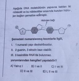Aşağıda DNA molekülünün yapısına katılan iki
nükleotit ve bu nükleotitler arasında kurulan hidro-.
jen bağları şematize edilmiştir
.
Hidrojen bağı
Şemadaki numaralanmış kısımlarla ilgili,
I. 1 numaralt yapı deoksiribozdur.
II. 2 guanin, 3 sitozin bazı olabilir.
Ill. 3 kesinlikle RNA'da bulunmaz.
yorumlarından hangileri yapılabilir?
A) Yalnız! . B) I ve II
D) II ve III
C) I ve III
E) I, II ve III
