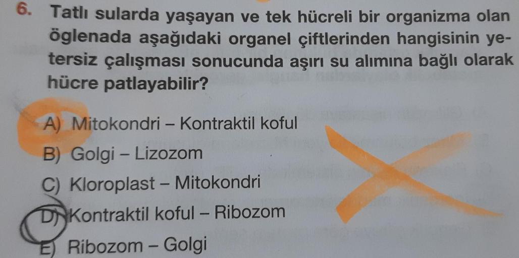 6. Tatlı sularda yaşayan ve tek hücreli bir organizma olan
öglenada aşağıdaki organel çiftlerinden hangisinin ye-
tersiz çalışması sonucunda aşırı su alımına bağlı olarak
hücre patlayabilir?
-
A) Mitokondri - Kontraktil koful
B) Golgi - Lizozom
C) Kloropla