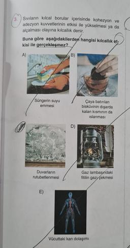 Sivilarin kilcal borular içerisinde kohezyon ve
adezyon kuvvetlerinin etkisi ile yükselmesi ya da
alçalması olayına kılcallik denir.
Buna göre aşağıdakilerden hangisi kılcallik et-
kisi ile gerçekleşmez?
A)
B)
Süngerin suyu
emmesi
Çaya batırılan
bisküvinin dışarda
kalan kısmının da
islanması
D)
Duvarların
rutubetlenmesi
Gaz lambasındaki
fitilin gazı çekmesi
Vücuttaki kan dolaşımı
