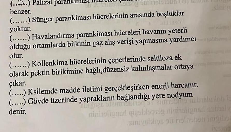(....) Palizat paranki
benzer.
ISOY ODS
(......) Sünger parankiması hücrelerinin arasında boşluklar
yoktur.
(.....) Havalandırma parankiması hücreleri havanın yeterli
olduğu ortamlarda bitkinin gaz alış verişi yapmasına yardımcı olares
olur.
(.....) Kollen