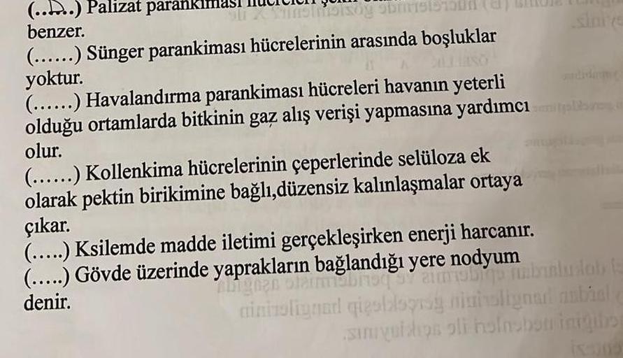 (....) Palizat paranki
benzer.
ISOY ODS
(......) Sünger parankiması hücrelerinin arasında boşluklar
yoktur.
(.....) Havalandırma parankiması hücreleri havanın yeterli
olduğu ortamlarda bitkinin gaz alış verişi yapmasına yardımcı olares
olur.
(.....) Kollen