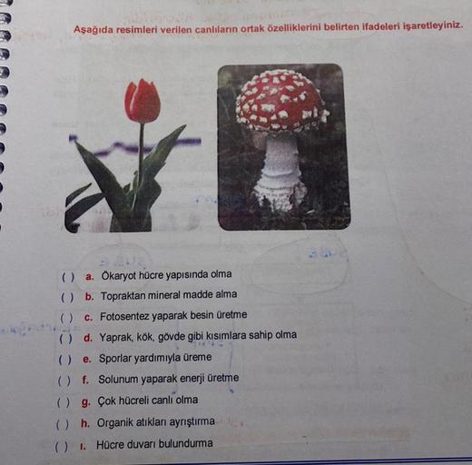 Aşağıda resimleri verilen canlıların ortak özellikl… Biyoloji Aşağıda resimleri verilen canlıların ortak özellikl… Biyoloji