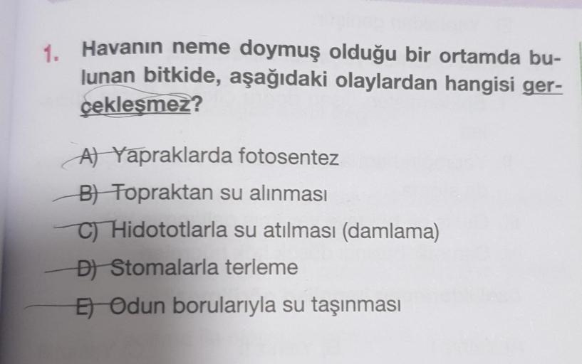 1. Havanın neme doymuş olduğu bir ortamda bu-
lunan bitkide, aşağıdaki olaylardan hangisi ger-
cekleşmez?
At Yapraklarda fotosentez
Bl Topraktan su alınması
Hidototlarla su atılması (damlama)
Đ) Stomalarla terleme
Et Odun borularıyla su taşınması
