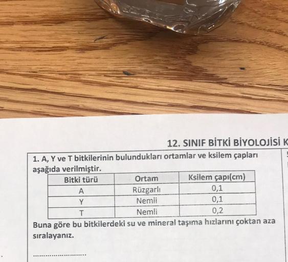 12. SINIF BİTKİ BİYOLOJİSİ K
1. A, Y ve T bitkilerinin bulundukları ortamlar ve ksilem çapları
aşağıda verilmiştir.
Bitki türü
Ortam Ksilem çapı(cm)
A
Rüzgarli
0,1
Y
Nemii
0,1
T
Nemli
0,2
Buna göre bu bitkilerdeki su ve mineral taşıma hızlarını çoktan aza
