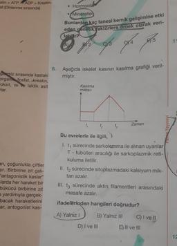 atin + ATP
ADP + Kreatin-
at (Dinlenme sırasında)
• Hormonla
• Mineraller
Bunlardan kaç tanesi kemik gelişimine etki
eden genetik yaktörlere örnek olarak veri-
lebilir?
E5
11
A)
8.
Aşağıda iskelet kasının kasılma grafiği veril-
miştir.
gzersiz sırasında kastaki
organin fosfat, kreatin,
Foksit, isi ve laktik asit
tar.
Kasilma
miktarı
ty
Zaman
t
Panne Yayıney
ani, çoğunlukla çiftler
sir. Birbirine zıt çalı-
'antagonistik kaslar"
Elarda her hareket bir
bükücü birbirine zit
5 yardımıyla gerçek-
bacak haraketlerini
ar, antogonist kas-
Bu evrelerle ile ilgili,
1. ty sürecinde sarkolemma ile alınan uyarılar
T - tübülleri aracılığı ile sarkoplazmik reti-
kuluma iletilir.
II. tz sürecinde sitoplazmadaki kalsiyum mik-
tarı azalır.
III. tz sürecinde aktin filamentleri arasındaki
mesafe azalır.
ifadelerinden hangileri doğrudur?
A) Yalnız
B) Yalnız III
C) I ve II
D) I ve III
E) II ve III
12
