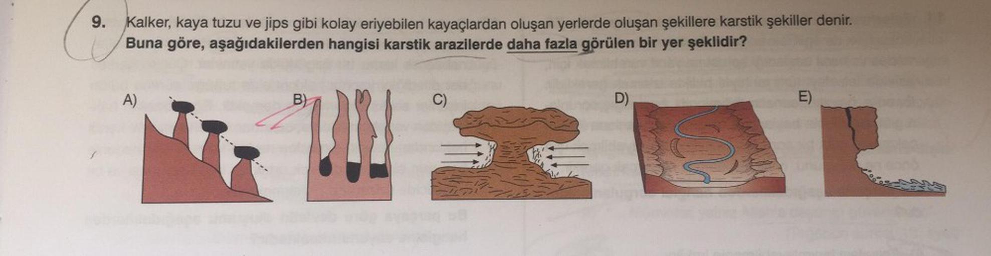 9. Kalker, kaya tuzu ve jips gibi kolay eriyebilen kayaçlardan oluşan yerlerde oluşan şekillere karstik sekiller denir.
Buna göre, aşağıdakilerden hangisi karstik arazilerde daha fazla görülen bir yer şeklidir?
A)
B)
C)
D)
E)
DIE
