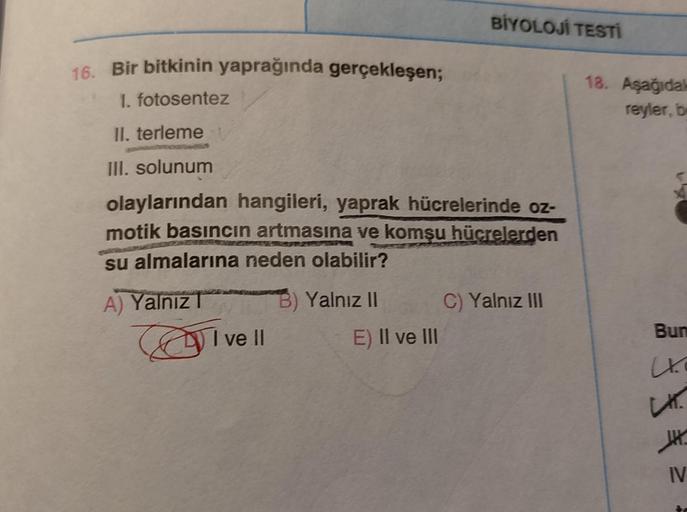 BİYOLOJÍ TESTI
16. Bir bitkinin yaprağında gerçekleşen;
18. Aşağıda
1. fotosentez
reyler, b
II. terleme
III. solunum
olaylarından hangileri, yaprak hücrelerinde oz-
motik basıncın artmasına ve komşu hücrelerden
su almalarına neden olabilir?
A) Yalnız
i vel