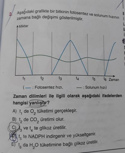 2. Aşağıdaki grafikte bir bitkinin fotosentez ve solunum hızının
zamana bağlı değişimi gösterilmiştir.
Miktar
i
L
G
i
A A
t1
t2
t3
t4
t5
to Zaman
(-: Fotosentez hızı,
: Solunum hızı)
2
Zaman dilimleri ile ilgili olarak aşağıdaki ifadelerden
hangisi yanlışt