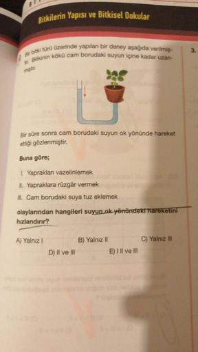 6
Bitkilerin Yapısı ve Bitkisel Dokular
3.
tit. Bitkinin kökü cam borudaki suyun içine kadar uzan-
Bir bitki türü üzerinde yapılan bir deney aşağıda verilmiş
miştir.
Bir süre sonra cam borudaki suyun ok yönünde hareket
ettiği gözlenmiştir.
Buna göre;
1. Ya