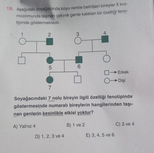 19. Aşağıdaki soyağacında koyu renkle belirtilen bireyler X kro-
mozomunda taşınan çekinik genle kalıtılan bir özelliği feno-
tipinde göstermektedir.
1
2
3
4.
07
5
6
0 Erkek
0 Dişi
7
Soyağacındaki 7 nolu bireyin ilgili özelliği fenotipinde
göstermesinde nu
