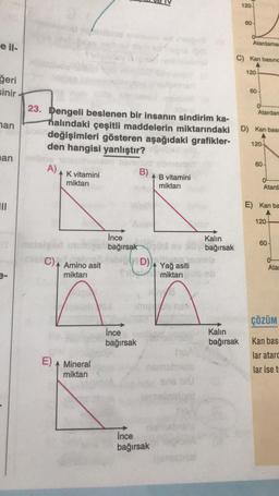 120-
60
Atardama
e il
C) Kan basınc
120
ğeri
sinir
60
Atardar
han
23. Dengeli beslenen bir insanın sindirim ka-
halındaki çeşitli maddelerin miktarındaki D) Kan bası
değişimleri gösteren aşağıdaki grafikler-
den hangisi yanlıştır?
120
nan
60-
A)
B)
K vitamini
miktarı
B vitamini
miktarı
0
Atard
TIL
E) Kan ba
120
İnce
bağırsak
Kalın
bağırsak
60
C) A Amino asit
y D) A Yağ asiti
Ata
miktarı
miktarı
ÇÖZÜM
Ince
bağırsak
Kalin
bağırsak
Kan bas
lar atarc
E) A Mineral
lar iset
miktarı
Ince
bağırsak
