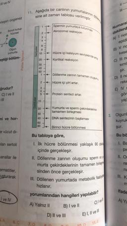 ill ve IV
II
11. Aşağıda bir canlının yumurtalarının döllerine
III
sine ait zaman
tablosu
verilmiştir.
kleşen oogenez
1
Spermin yumurtaya tutunması
Ikincil kutup
hücresi
Akrozomal reaksiyon
p
2
Numara
dakilerd
A) I nol
3
4
Z
6
8
Saniyeler
Hücre içi kalsiyum seviyesinde artış
Olgun
yumurta
eştiği bölüm-
10
Palme Yayınevi
20 +
Kortikal reaksiyon
epidi
B) V nc
kese
C) III nc
simi
şir.
D) Il nc
30
40
50
1
+ Döllenme zarının tamamen oluşumu
2.
+ Hücre içi pH artar.
reke
3
ğrudur?
C) I ve II
IL
E) IV
5
+ Protein sentezi artar.
gör
yar
10
Dakikalar
T
mi ve hor-
20
+ Yumurta ve sperm çekirdeklerinin
tamamen birleşmesi
30
40+ DNA sentezinin başlaması
60
90 J+ Birinci hücre bölünmesi
2. Olgunl
kuyruk
şur.
er vücut di-
Bu tabloya göre,
Bu bö
ilan sertoli
I. Ba
pic
Kanallar ile
II. OI
re
ermatitler,
usturarak
nu
6 7 8
I. İlk hücre bölünmesi yaklaşık 90 dakie
içinde gerçekleşir.
II. Döllenme zarının oluşumu sperm ve ya
murta çekirdeklerinin tamamen birleşme
sinden önce gerçekleşir.
III. Döllenen yumurtada metabolik faaliyet
hızlanır.
yorumlarından hangileri yapılabilir?
A) Yalnız II B) I ve II
D) Il ve III
III. K
ifade
I ve IV
A)
Ya
C) Ivell
E) I, II ve II
5. A
6.
7.D
11. E
D