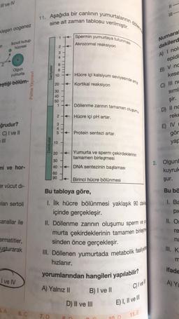 ill ve IV
II
11. Aşağıda bir canlının yumurtalarının döllerine
III
sine ait zaman
tablosu
verilmiştir.
kleşen oogenez
1
Spermin yumurtaya tutunması
Ikincil kutup
hücresi
Akrozomal reaksiyon
p
2
Numara
dakilerd
A) I nol
3
4
Z
6
8
Saniyeler
Hücre içi kalsiyum seviyesinde artış
Olgun
yumurta
eştiği bölüm-
10
Palme Yayınevi
20 +
Kortikal reaksiyon
epidi
B) V nc
kese
C) III nc
simi
şir.
D) Il nc
30
40
50
1
+ Döllenme zarının tamamen oluşumu
2.
+ Hücre içi pH artar.
reke
3
ğrudur?
C) I ve II
IL
E) IV
5
+ Protein sentezi artar.
gör
yar
10
Dakikalar
T
mi ve hor-
20
+ Yumurta ve sperm çekirdeklerinin
tamamen birleşmesi
30
40+ DNA sentezinin başlaması
60
90 J+ Birinci hücre bölünmesi
2. Olgunl
kuyruk
şur.
er vücut di-
Bu tabloya göre,
Bu bö
ilan sertoli
I. Ba
pic
Kanallar ile
II. OI
re
ermatitler,
usturarak
nu
6 7 8
I. İlk hücre bölünmesi yaklaşık 90 dakie
içinde gerçekleşir.
II. Döllenme zarının oluşumu sperm ve ya
murta çekirdeklerinin tamamen birleşme
sinden önce gerçekleşir.
III. Döllenen yumurtada metabolik faaliyet
hızlanır.
yorumlarından hangileri yapılabilir?
A) Yalnız II B) I ve II
D) Il ve III
III. K
ifade
I ve IV
A)
Ya
C) Ivell
E) I, II ve II
5. A
6.
7.D
11. E
D
