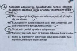 3.) Aşağıdaki adaptasyon örneklerinden hangisi canlının
su kaybını azaltarak kural ortamda yaşamasınr sagla-
maz?
At Gaz alışverişini sağlayan stomaların yaprak alt yüzeyin-
de yer alması
BT Sürüngenlerin azotlu boşaltım atığı olan amonyağı ürik
asit kristallerine dönüştürerek atması
C) Ördeklerin perdeli ayaklara sahip olması
Dt Yaprak yüzeyinde kalın bir kütikula tabakası bulunması
E) Tuzlu su balıklarının amonyağı solungaçlarındaki özel-
leşmiş hücreleriyle dışarı atması
