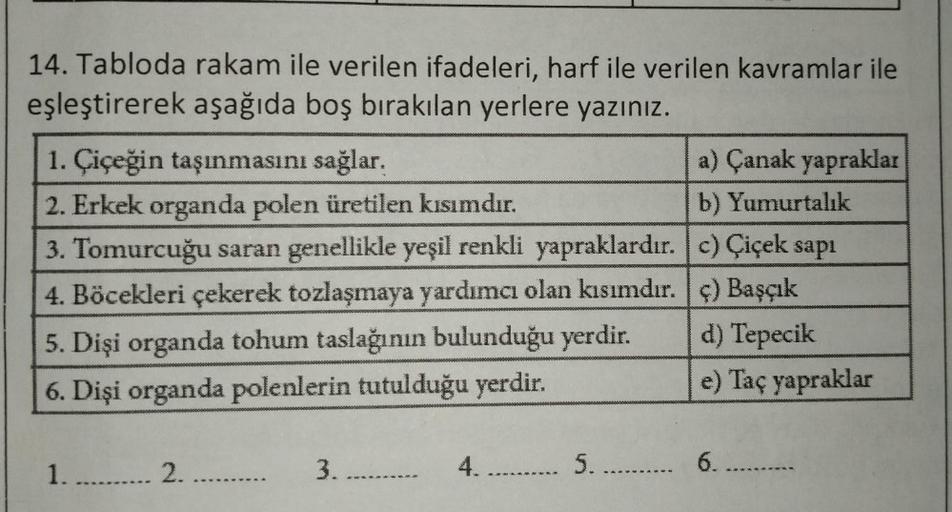 14. Tabloda rakam ile verilen ifadeleri, harf ile verilen kavramlar ile
eşleştirerek aşağıda boş bırakılan yerlere yazınız.
1. Çiçeğin taşınmasını sağlar.
a) Çanak yapraklar
2. Erkek organda polen üretilen kısımdır.
b) Yumurtalık
3. Tomurcuğu saran genelli