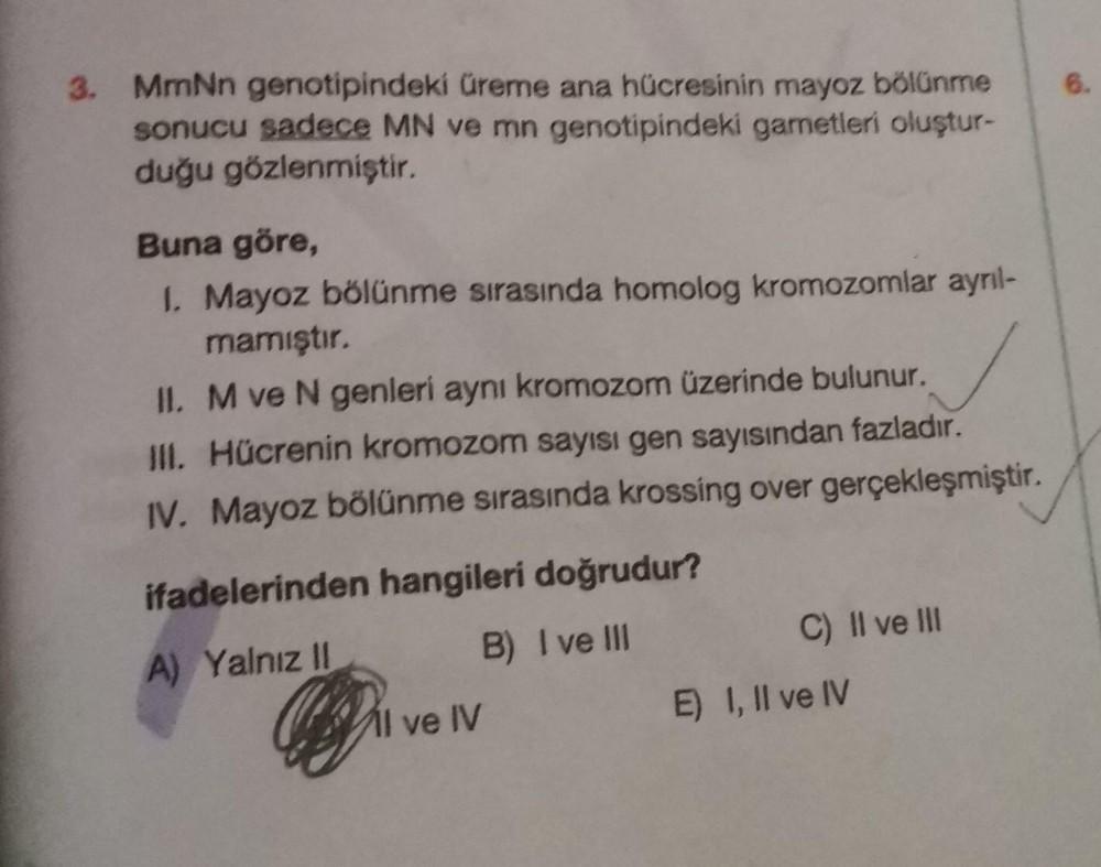 6 3 MmNn Genotipindeki reme Ana H cresinin Mayoz Biyoloji 6-3-mmnn-genotipindeki-reme-ana-h-cresinin-mayoz-biyoloji