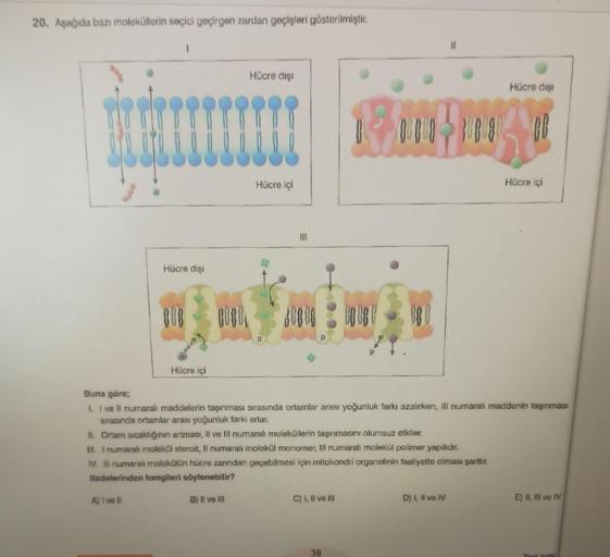 20. Aşağıda bazı moleküllerin seçici geçirgen zarda… Biyoloji 20. Aşağıda bazı moleküllerin seçici geçirgen zarda… Biyoloji