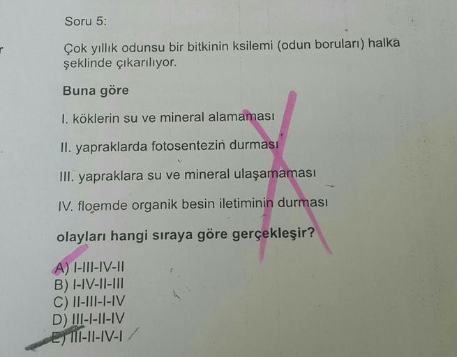 Soru 5:
r
Çok yıllık odunsu bir bitkinin ksilemi (odun boruları) halka
şeklinde çıkarılıyor.
Buna göre
I. köklerin su ve mineral alamaması
II. yapraklarda fotosentezin durması
III. yapraklara su ve mineral ulaşamaması
IV. floemde organik besin iletiminin d